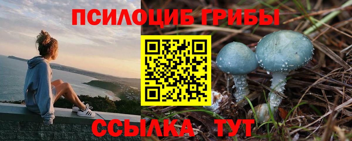 Городец  Псилоцибиновые грибы ЛСД  Вход с VPN 